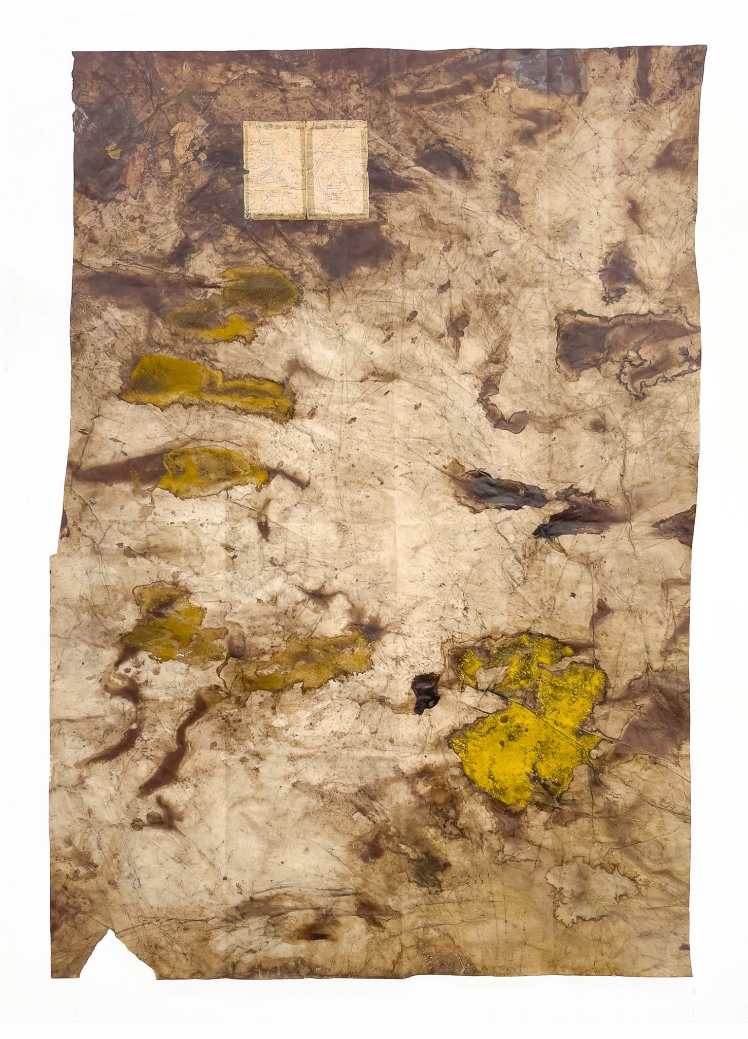Tagamanent i Vallfornès, Montseny, Catalunya. 2023, 150 × 100 cm, fragmento de mapa, nogalina, colores vinílicos y curcuma sobre papel