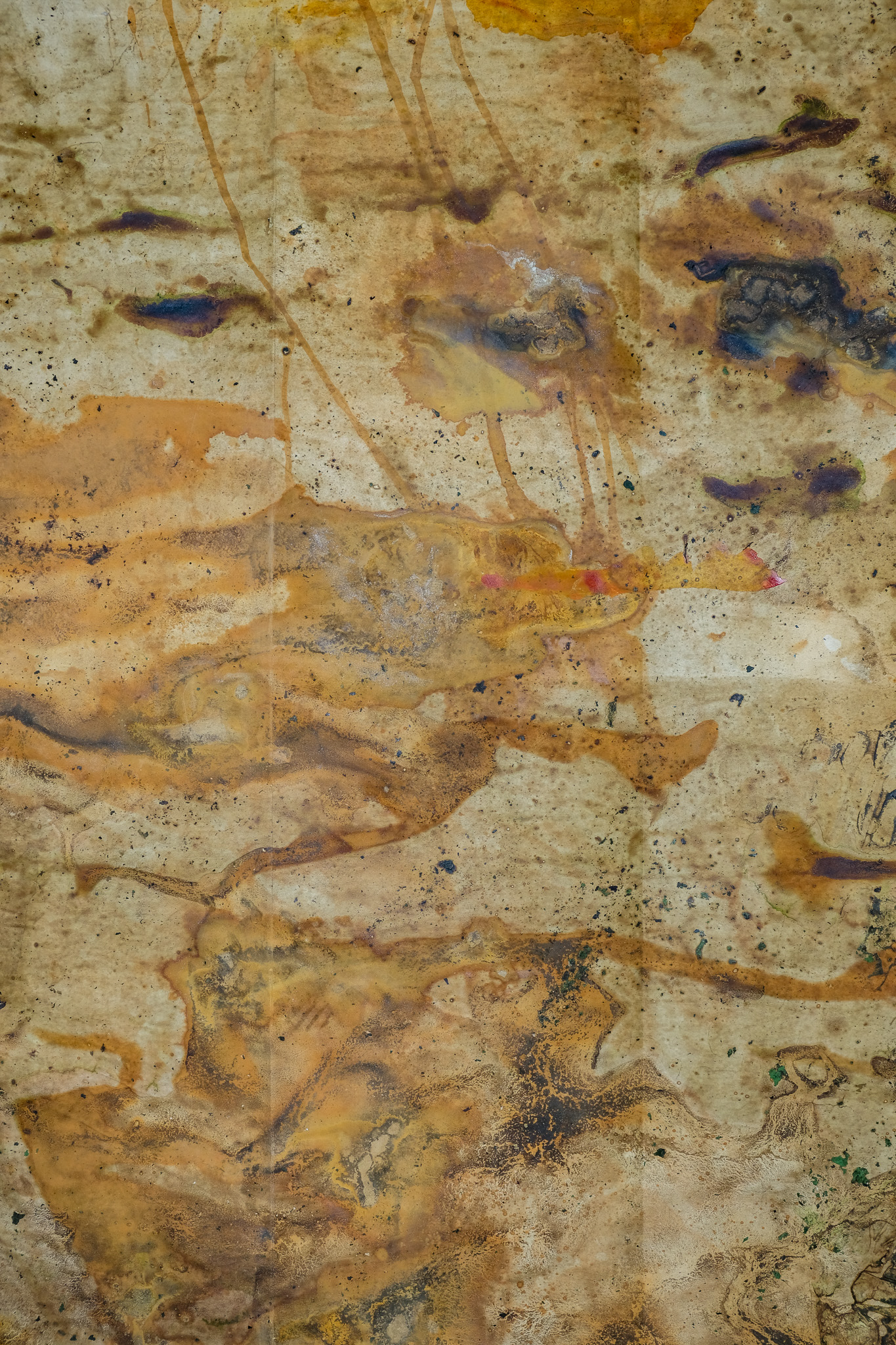 Secano. 2025 (detalle)