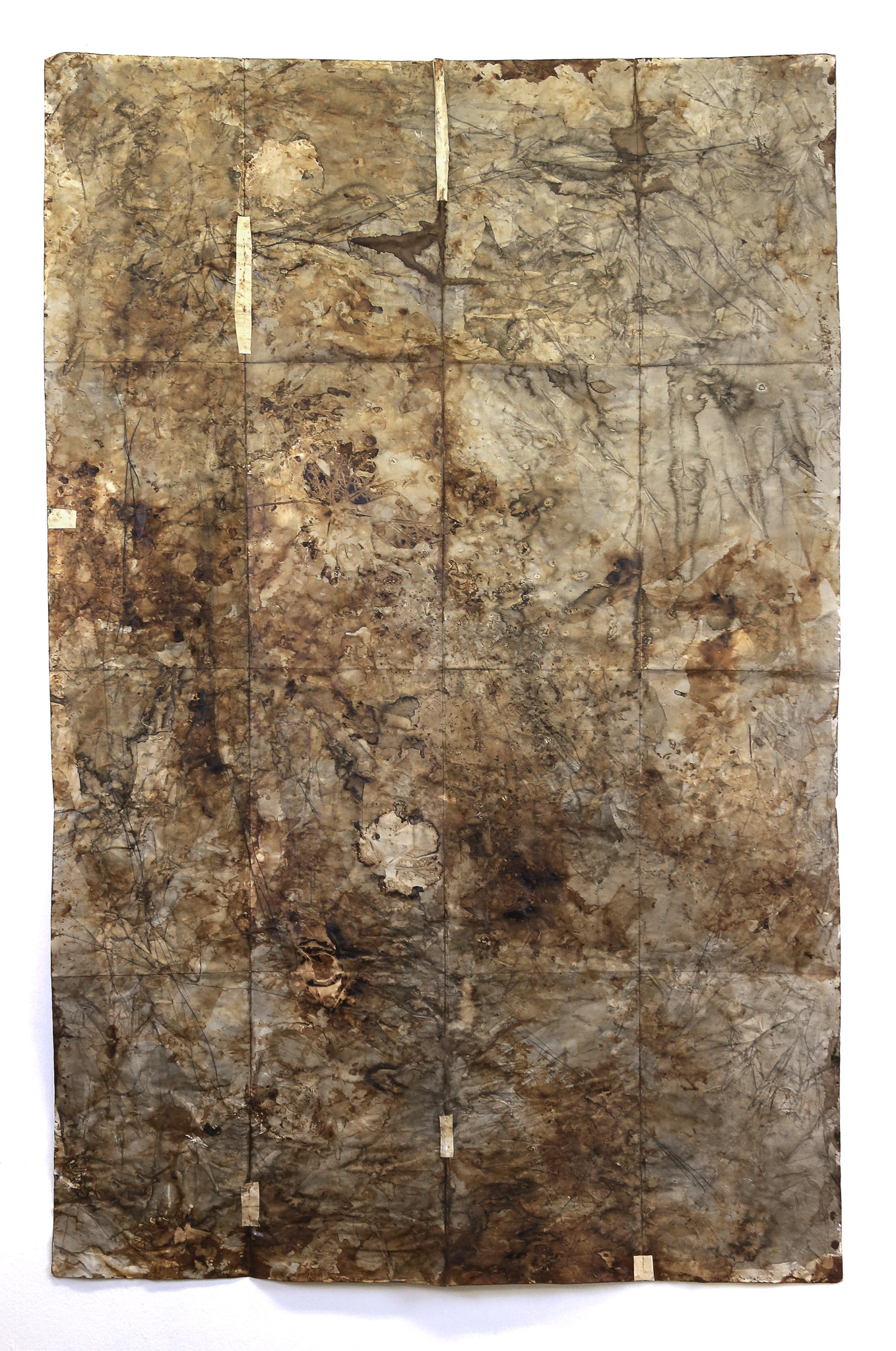 Agua de la fuente de Farrera, elementos naturales, nogalina y tinta china sobre papel, 150 × 100 cm (aprox)