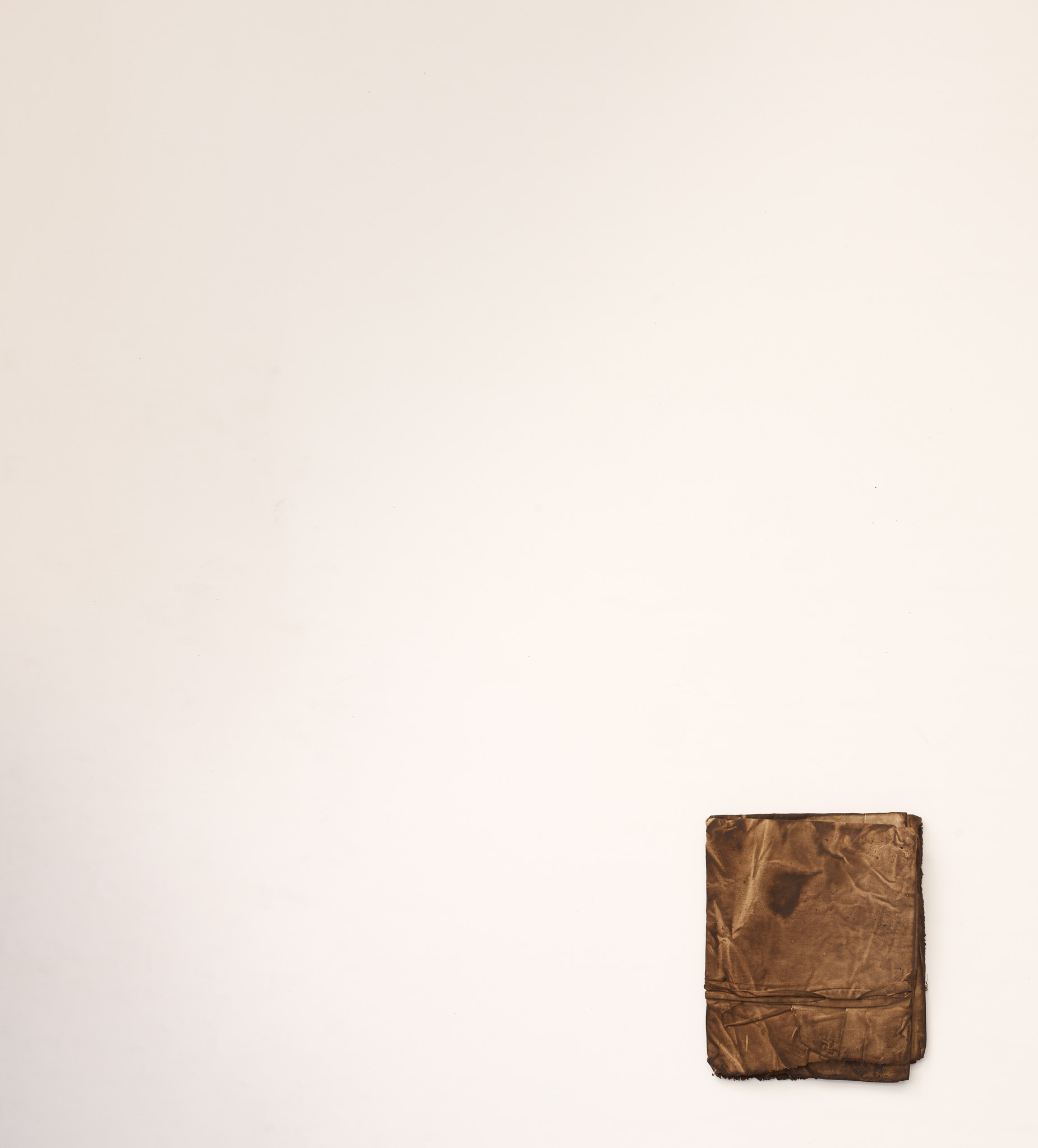 Lo drap, proyecto Sequere, 2022, hojas y tintas naturales, 35 × 40 cm