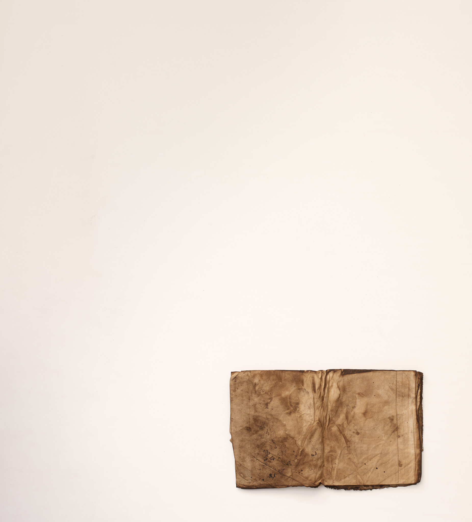 Lo drap, proyecto Sequere, 2022, hojas y tintas naturales, 35 × 40 cm