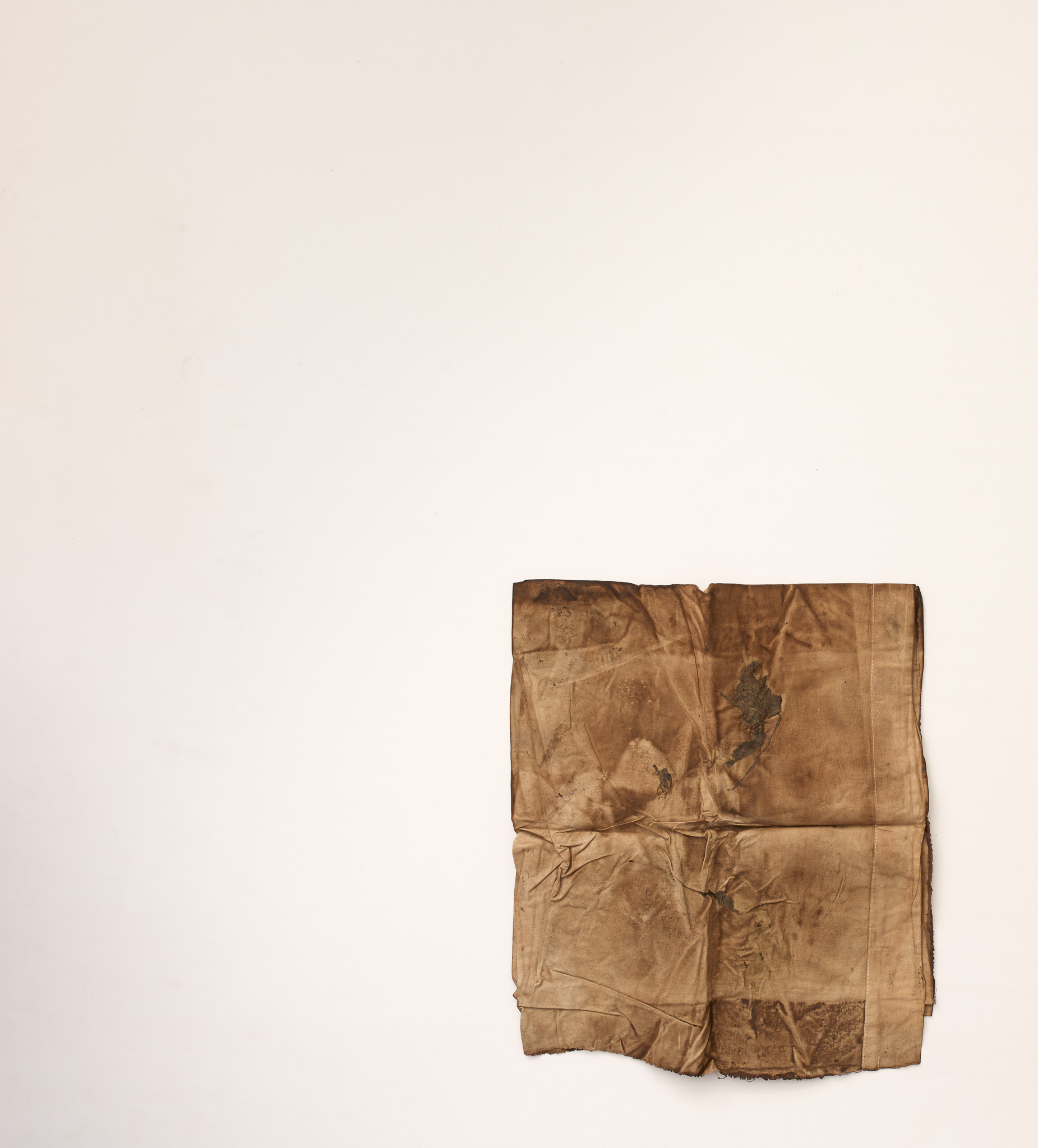 Lo drap, proyecto Sequere, 2022, hojas y tintas naturales, 35 × 40 cm
