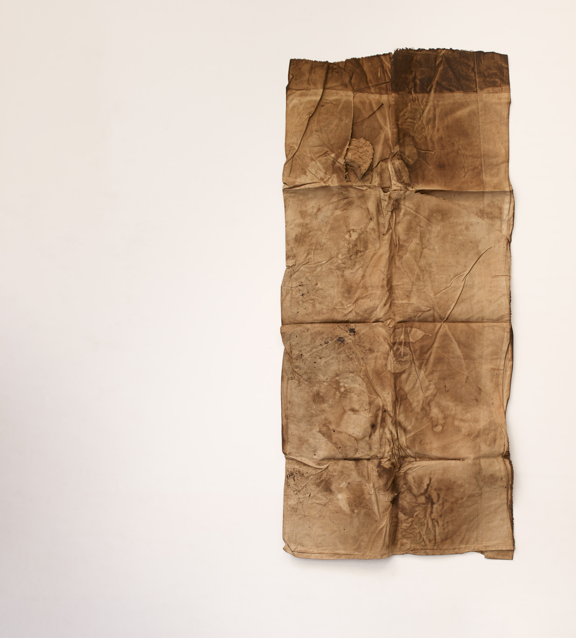 Lo drap, proyecto Sequere, 2022, hojas y tintas naturales, 35 × 40 cm