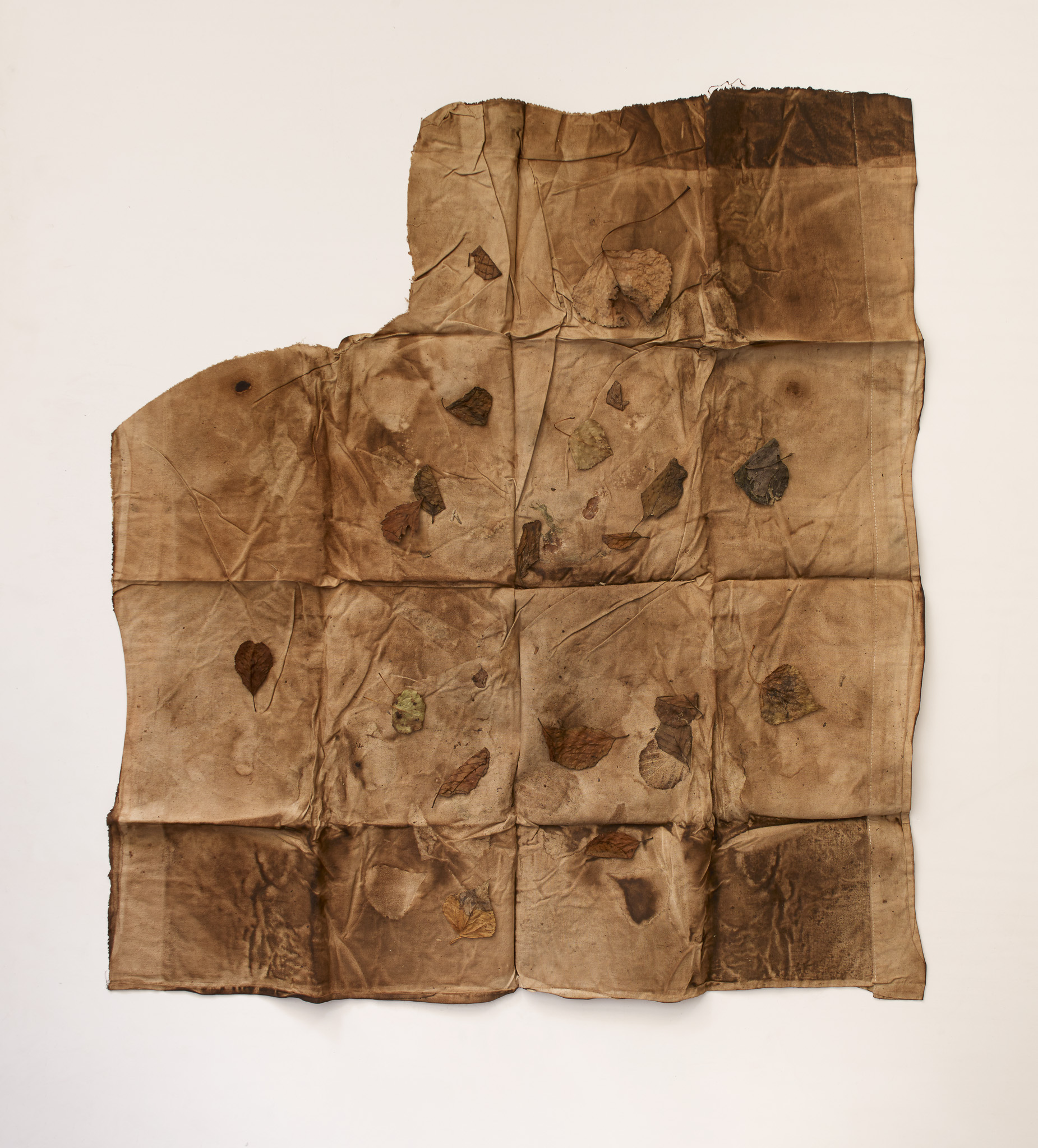 2022-drap05