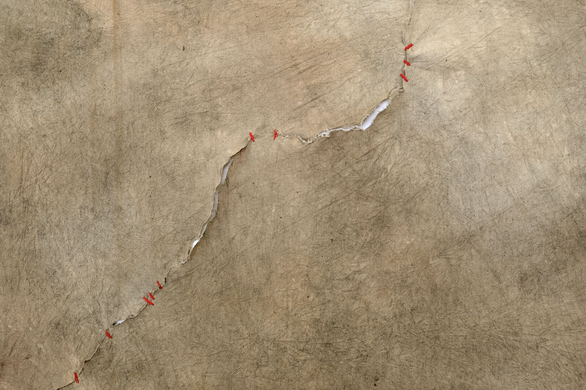Sutura (43 puentes). Hilo, pigmentos naturales y cola vinílica sobre tela, 193 × 145 cm
