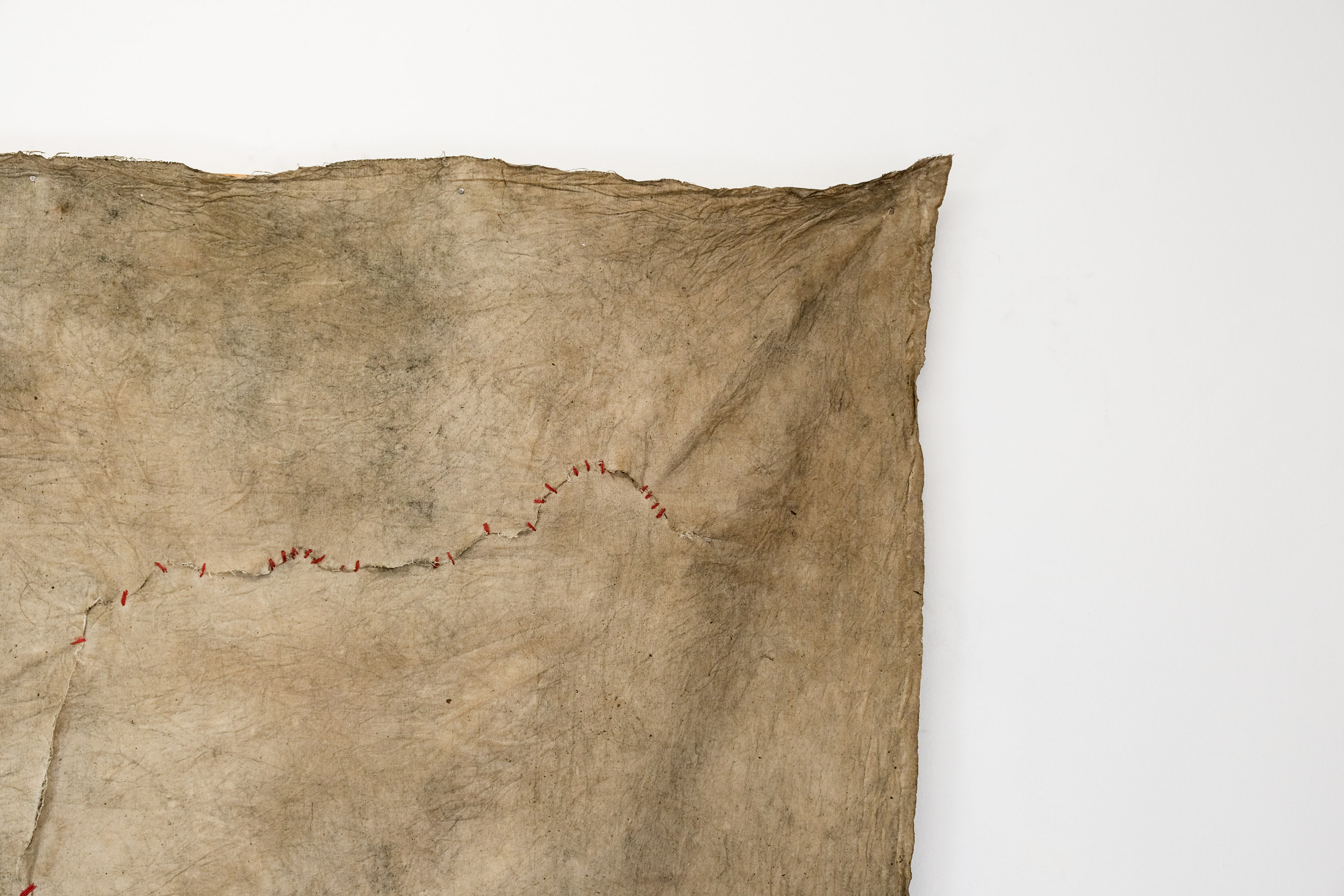 Sutura (43 puentes). Hilo, pigmentos naturales y cola vinílica sobre tela, 193 × 145 cm
