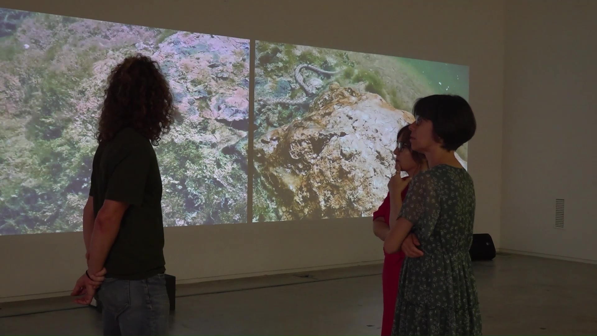 Fotograma de Canal TE: visitantes ante la videoinstalación de Cos d'Ebre