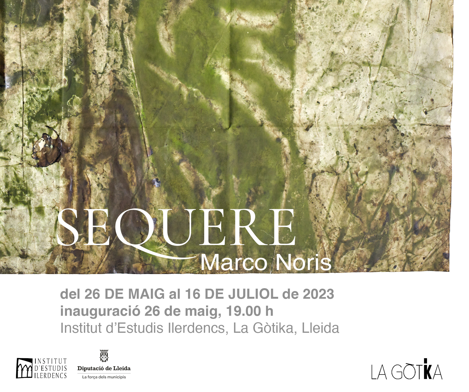 noris-sequere-iei